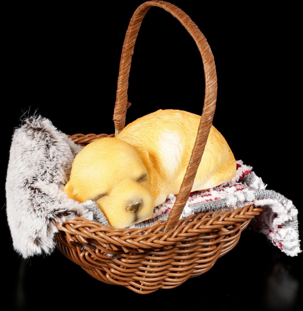 Hunde Figur schlafend im Körbchen - Blonder Golden Produktbild 