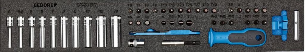 GEDORE 1500 CTD-20 BIT Steckschlüssel-Sortiment 1/4" in Check-Tool-Modul, 1733419