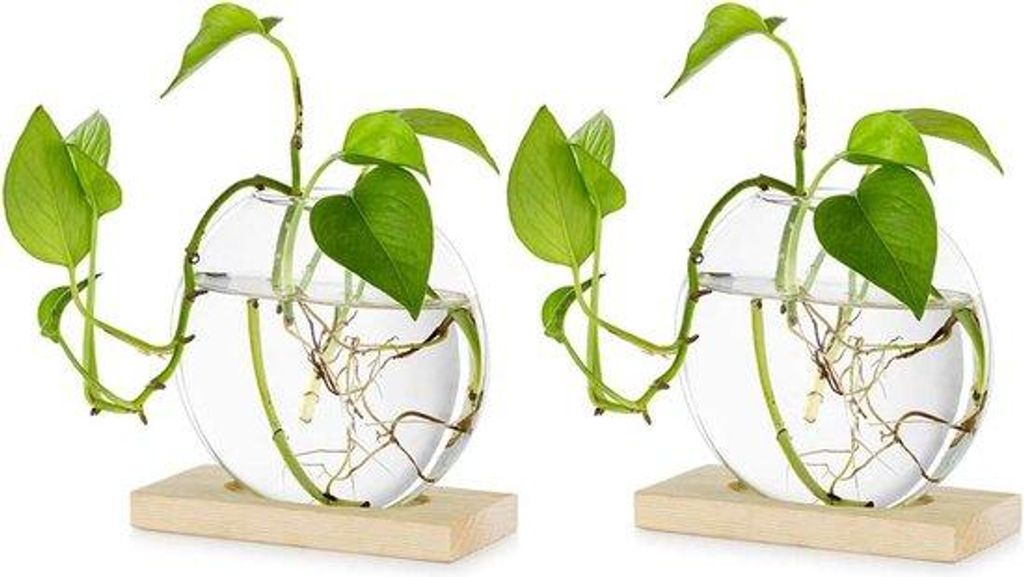 Glas-Terrarium für Hydrokultur-Pflanzen, Holz, 2-teilig, Deko