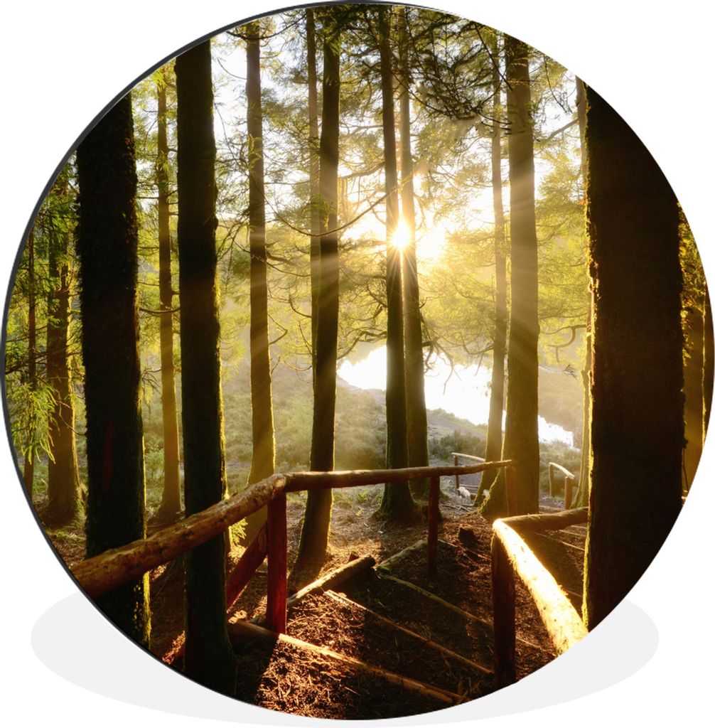 MuchoWow Aluminium Wandkreis Azoren - Treppe - Wald Ø 90 cm Wanddeko Modern Wohnzimmer - Mauerkreis - Wandbilder - Runde Bild - Bild aus Alumini...