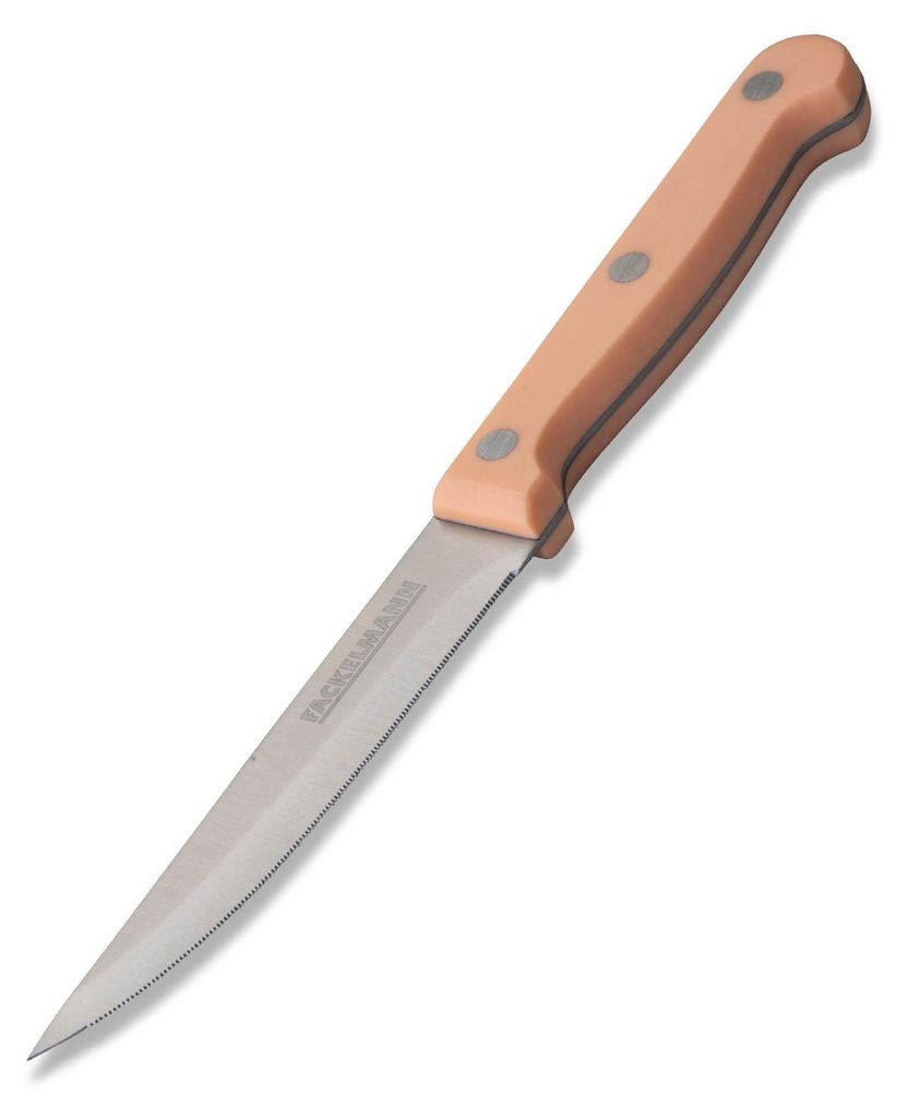 Fackelmann Steakmesser - Spitze Scharfe Klinge für Perfekte Schnitte, Ergonomischer Griff, 21 cm, Apricot