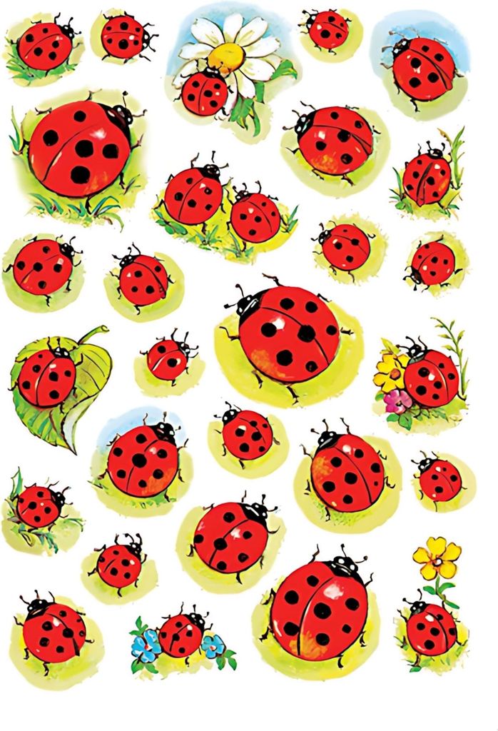 HERMA 3815 10x Sticker DECOR Marienkäfer+Blume Produktbild 