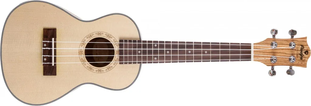 Ukulélé Prodipe BC25 parfait pour l'apprentissage et la scène