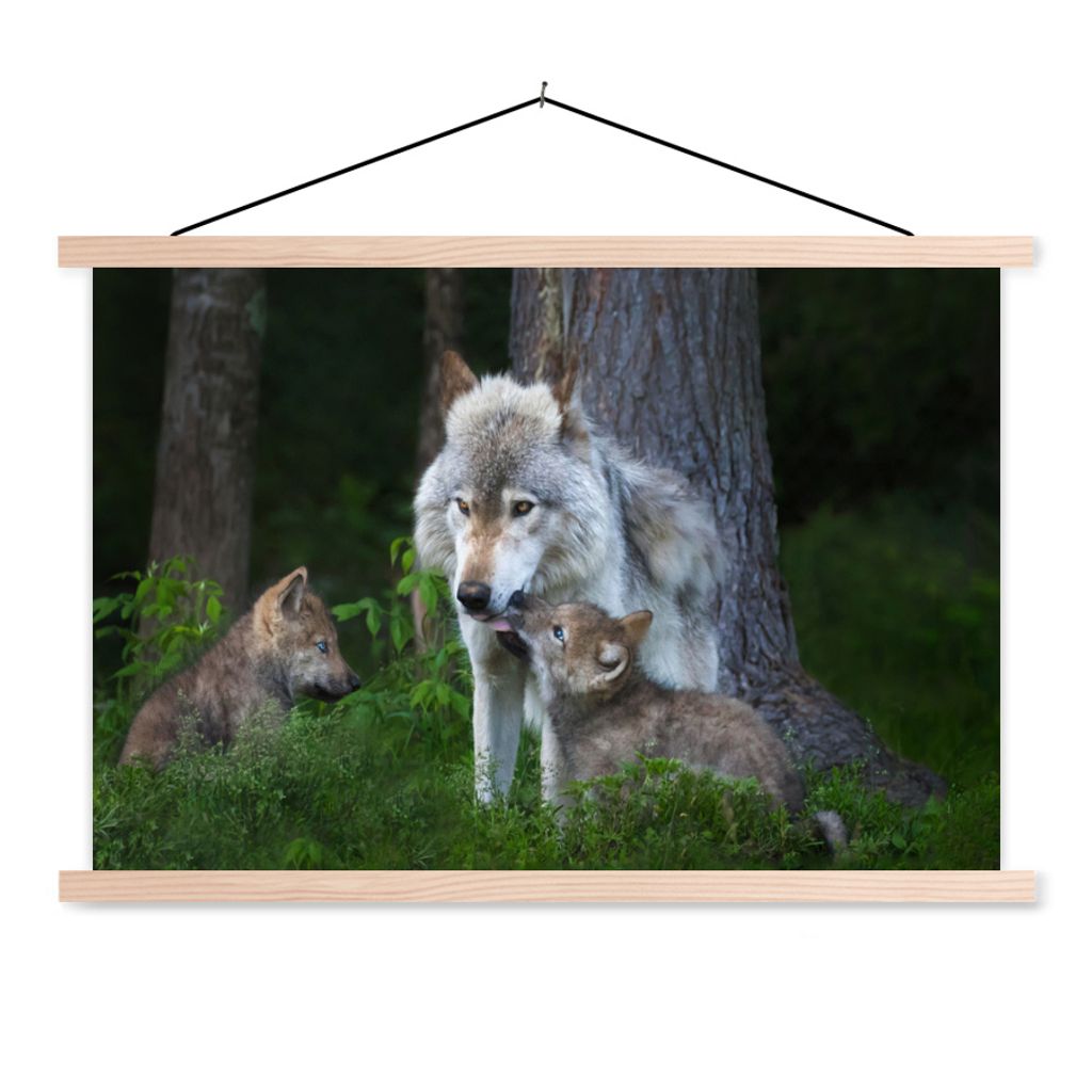 MuchoWow Textilposter Wolf - Moos - Wald - Welpe 60x40 cm mit holzfarbenen Rahmen - Bilder
