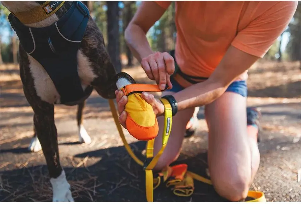 Ruffwear Summit Trex: Proteggi il Tuo Cane con Dolcezza e Sicurezza - 9