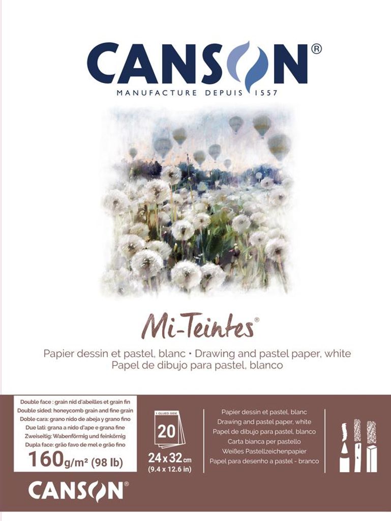 CANSON Zeichenpapier Mi-Teintes im Block 240 x 320 mm