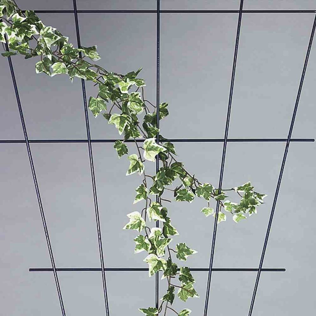 SIENA GARDEN Rosenspalier V-Form braun