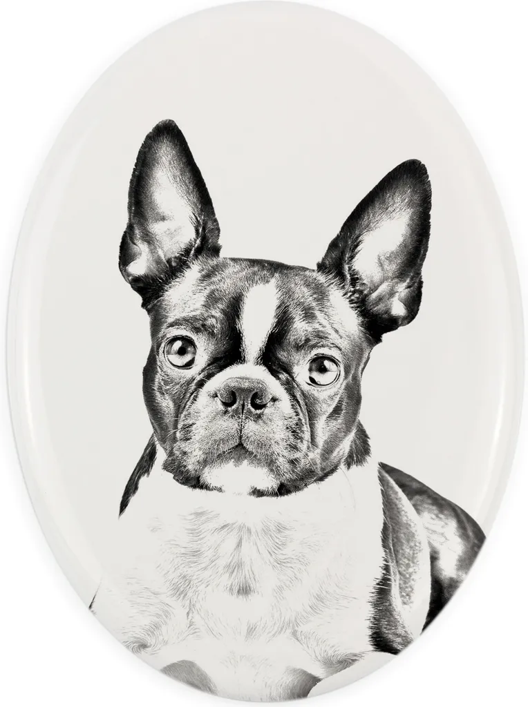 Targa Personalizzata Boston Terrier Art-Dog | Design Ovale Minimal