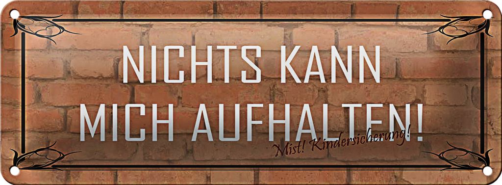 Blechschild Spruch 27x10cm nichts kann mich aufhalten Dekoration