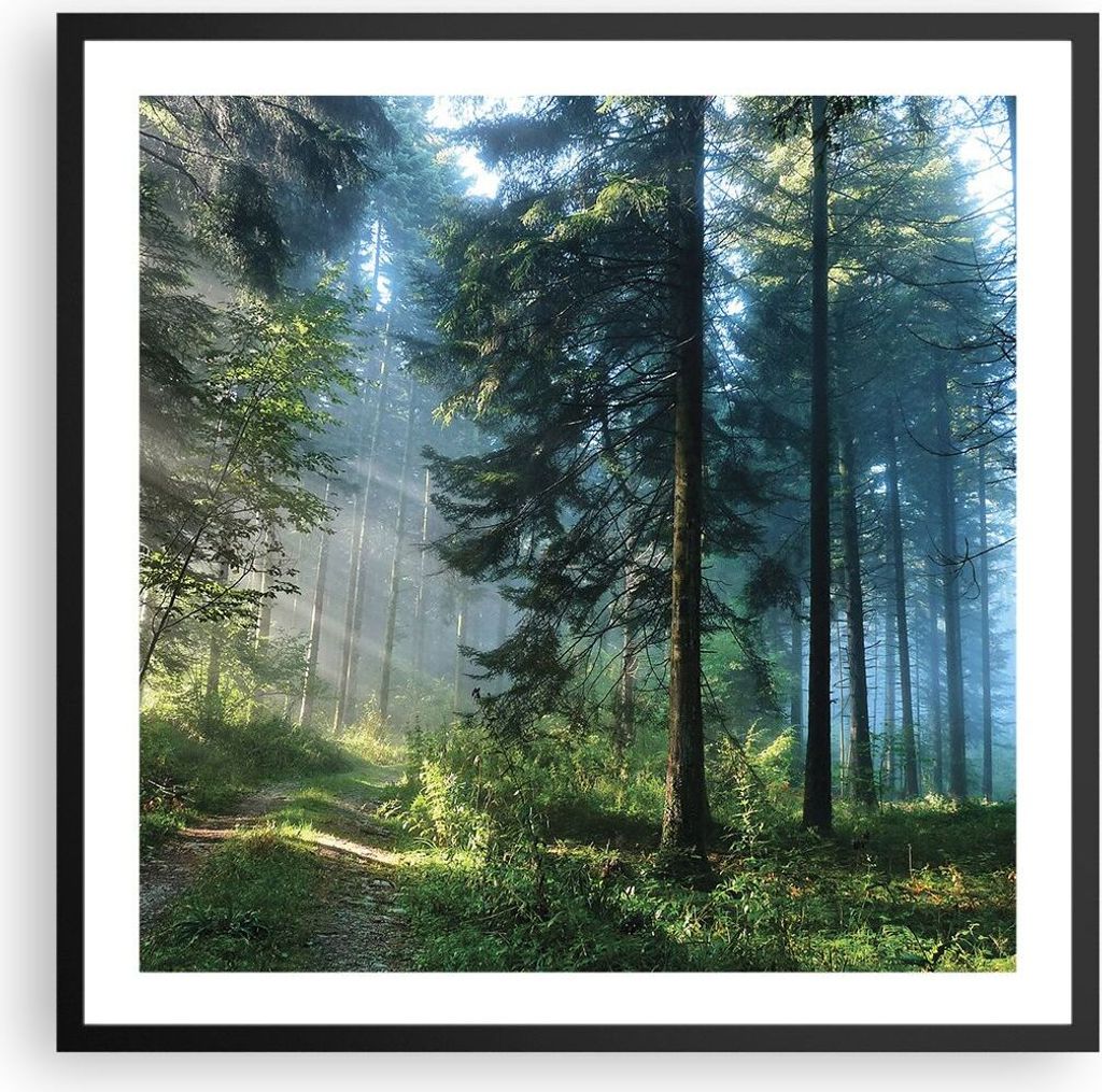 Gerahmtes Poster - Schwarzer Rahmen - Wald Dämmerung die Sonne - 60x60 cm - Wand Bild - Wanddeko - Wandbilder - Kunstposter - Wandposter - Bilderr...