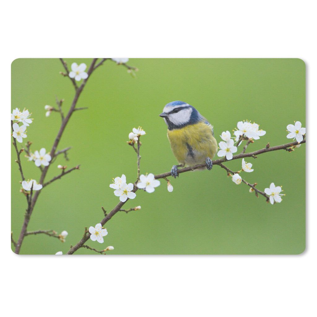 MuchoWow Mauspad Mousepad Blaumeise - Zweig - Blumen - Blühende Zweige - Vogel 27x18 cm - Mousepads - Maus Mat - Pad - Mausunterlage - Büroarti...