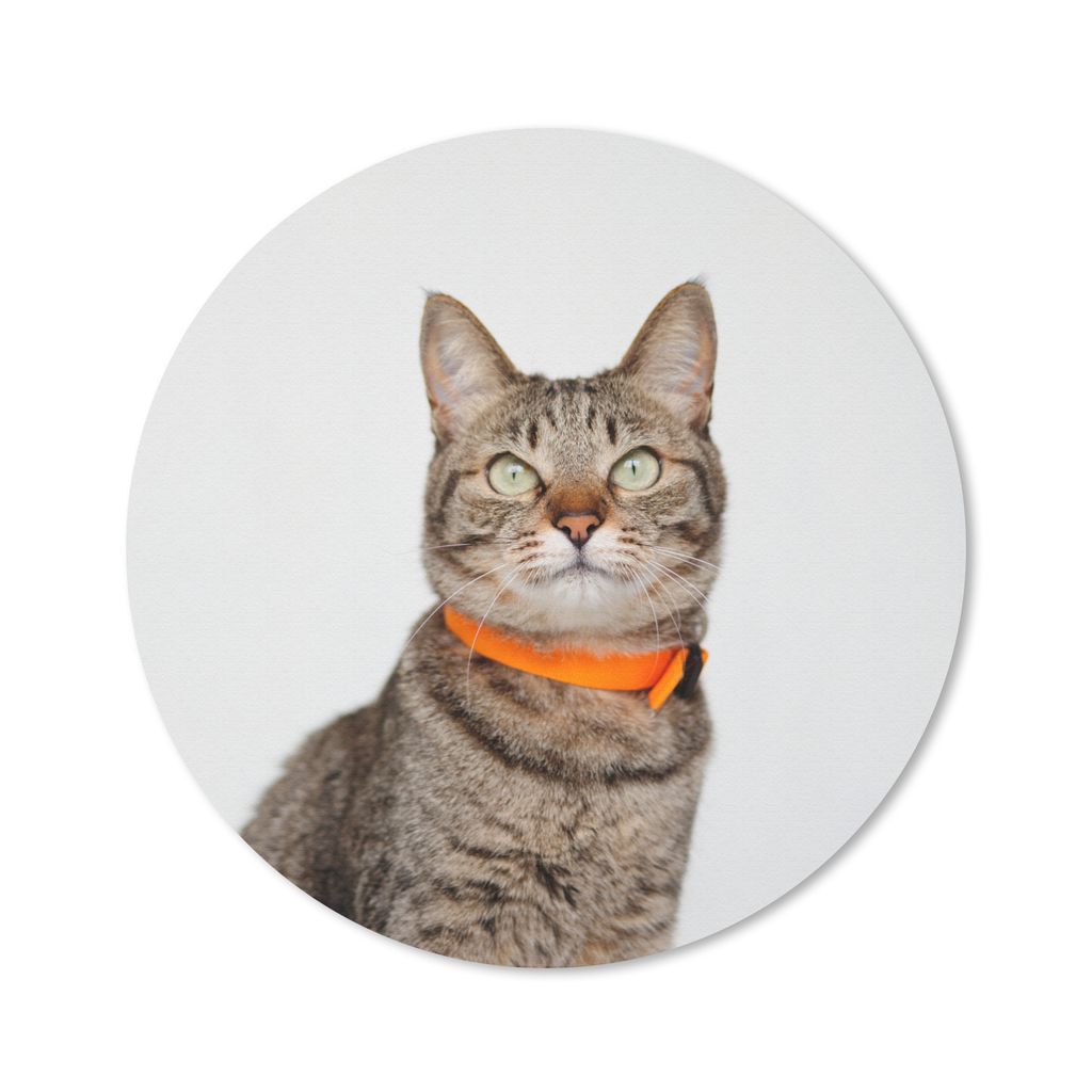 MuchoWow Mauspad Mousepad Katze - Halskette - Orange - Mädchen - Kinder - Jungen - Kinder 20x20 cm - Mousepads - Maus Mat - Pad - Mausunterlage ...