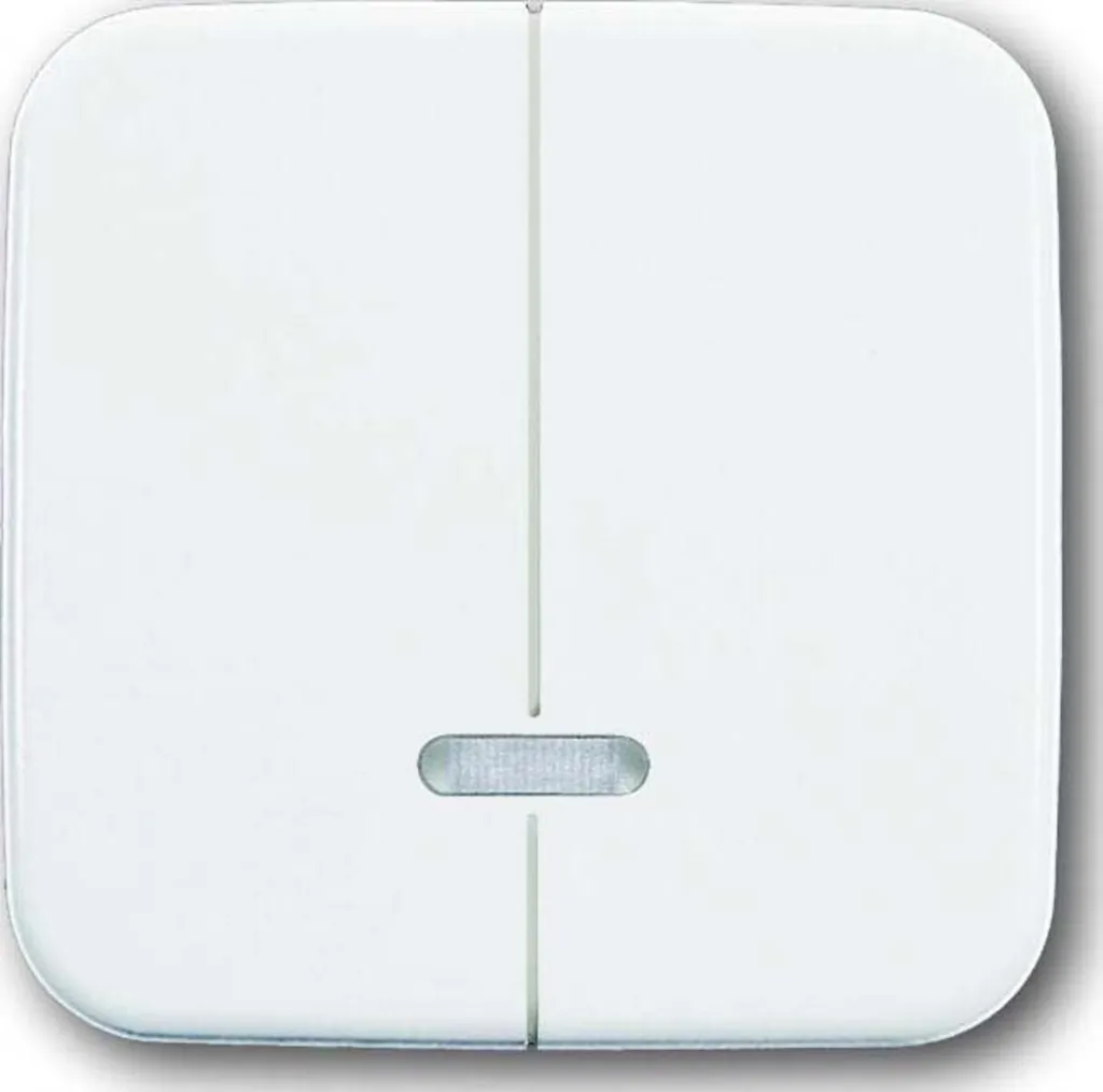 Interrupteur Busch-Jaeger 6599-0-2889 Haute Qualité - Finition Blanche