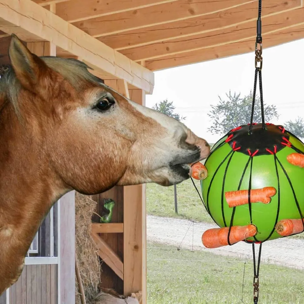 Balle Thérapeutique Kerbl Verte en Caoutchouc Résistant pour Chevaux - 3