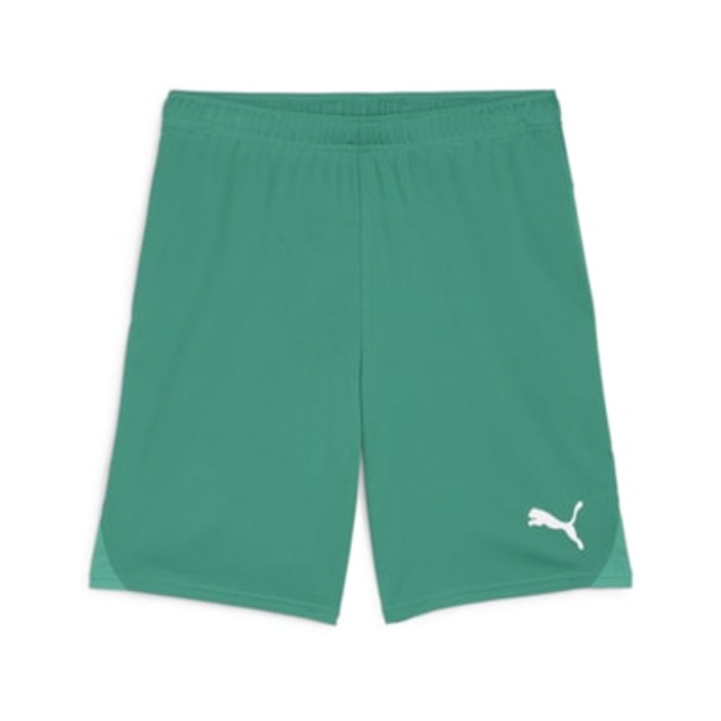 Puma teamGOAL Shorts Sport Green-PUMA White M