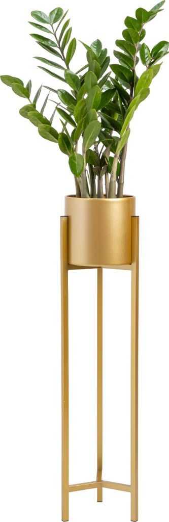 A potted plant on a gold metal stand against a white background.