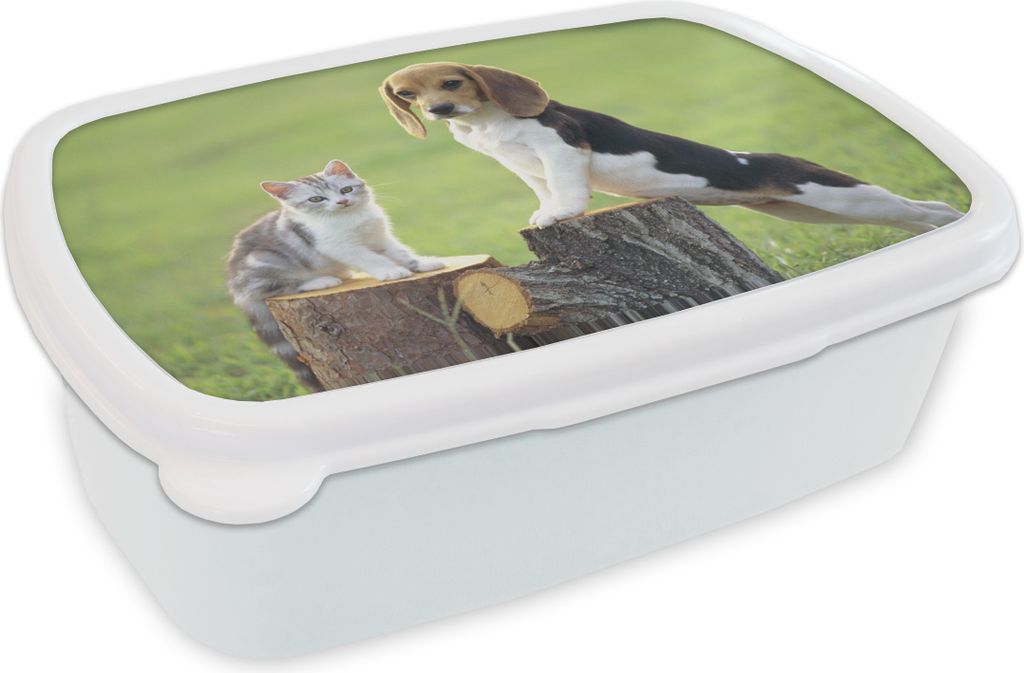 KitchenYeah Lunchbox Brotzeit Brotdose 17x11 cm Katze - Hund - Baum Kinder Brotzeitdose - Lunch Box - Kinder - Sandwich-Box - Schulbox - Lunch Boxen