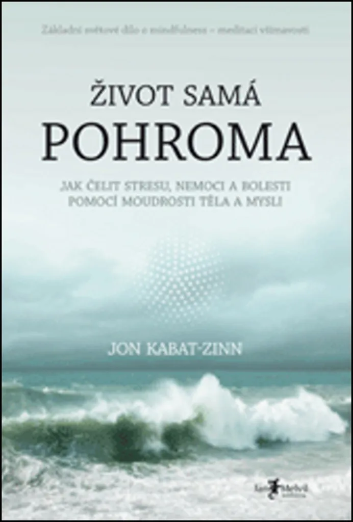 Život samá pohroma : surmonter les aléas avec l'ouvrage de Libor Válek