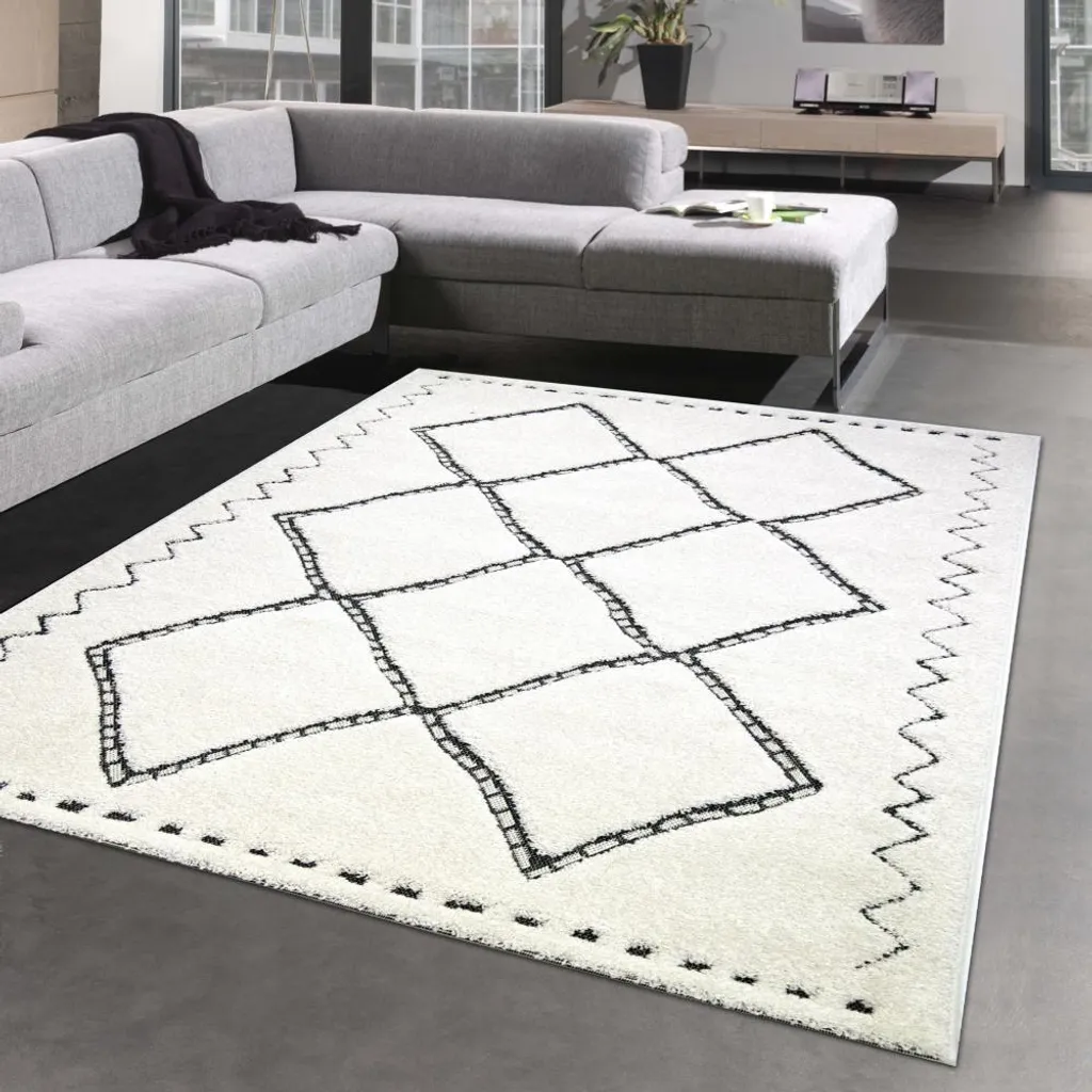 Tapis moderne 120x170 cm anti-dérapant et facile à nettoyer - Chic