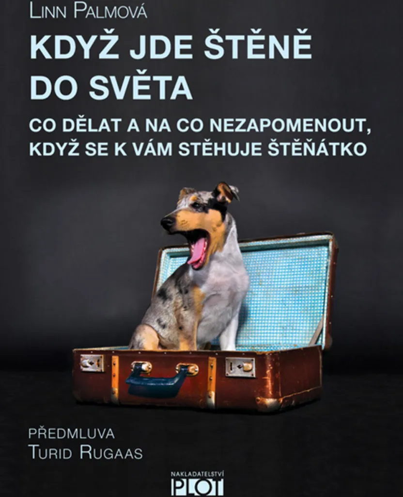 Préparer l'arrivée d'un chiot : Guide pratique pour une maison sereine - 3