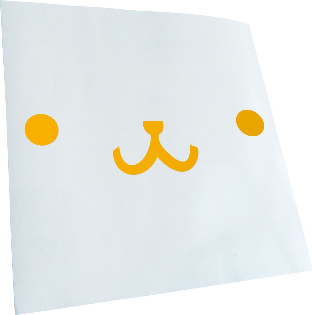 Kiwistar - Autoaufkleber - Bärengesicht Heckscheibe - Aufkleber für Auto Kfz Fahrrad, LKW, Truck Mofa