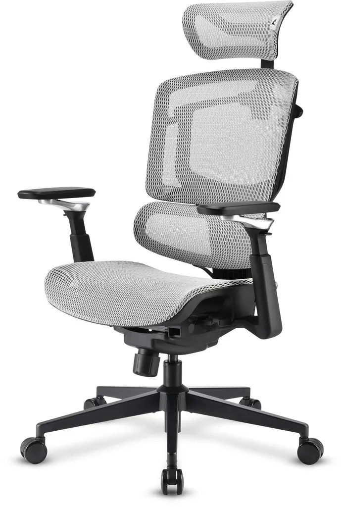 Sharkoon OfficePal C50M Gris - Chaise de bureau ergonomique performante