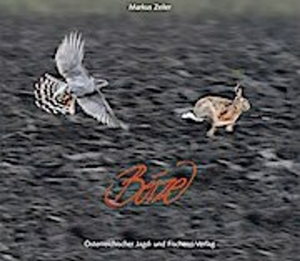 Beize