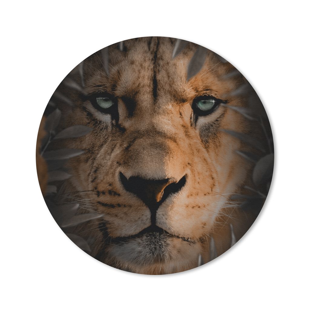MuchoWow Mauspad Mousepad Tiere - Löwe - Natur 30x30 cm - Mousepads - Maus Mat - Pad - Mausunterlage - Tischunterlage - Schreibtischmatten