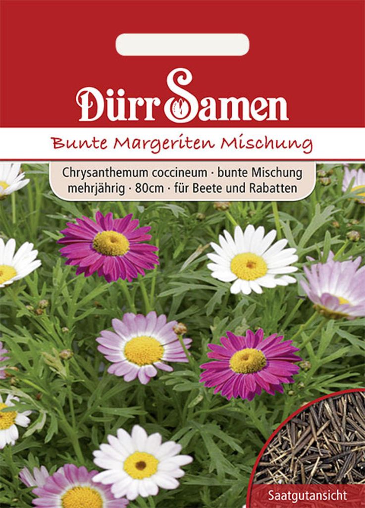 Dürr-Samen - Bunte Margeriten Bunte Mischungmehrjährig 80 cm - Saatgut - 0832