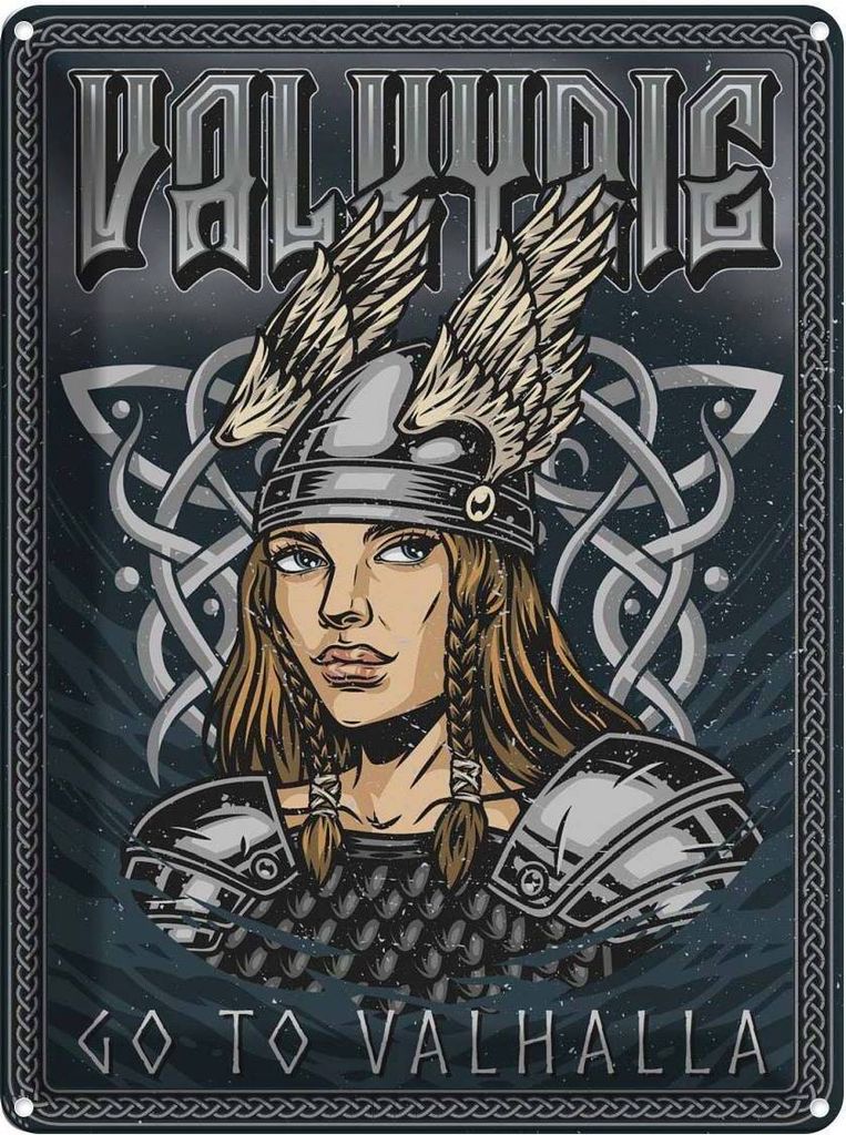 vianmo Blechschild 40x30 cm Valkyrie go to Valhalla Wiking Produktbild 