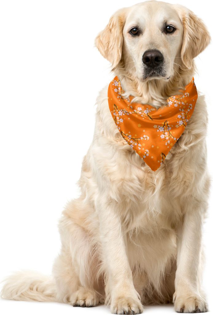 ABAKUHAUS Blumen Haustier Bandana, Kirschbaum-Blüten, 40x40 cm, Orange Weiß Braun
