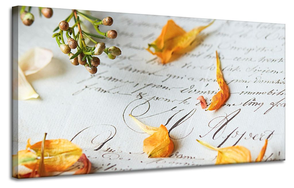 Leinwanddruck Botanische Blütenblätter 120x60 cm