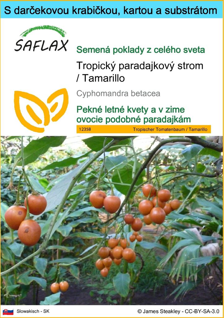 SAFLAX Darčeková sada - Tropický paradajkový strom / Obrázok produktu 