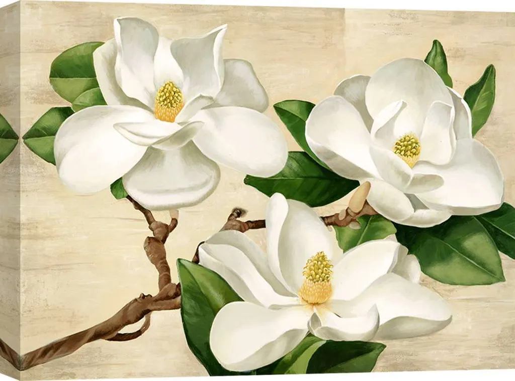 Tableau Magnolia blanc Serena Biffi 60x40 cm, habillez vos murs vides