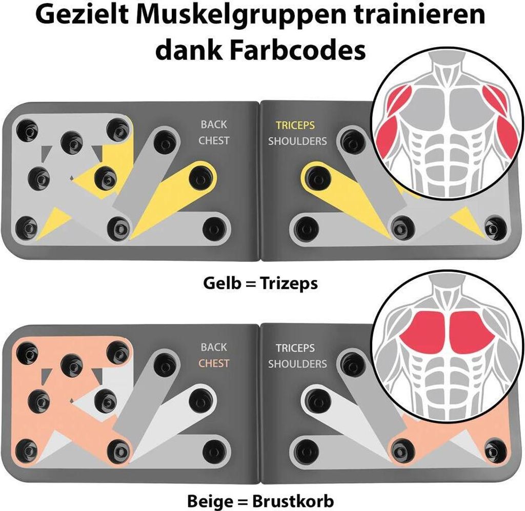 Maxxmee Alleskönner 20 In 1 Video MAXXMEE Trainingsboard Push-Up - 65x19 cm - | Kaufland.de