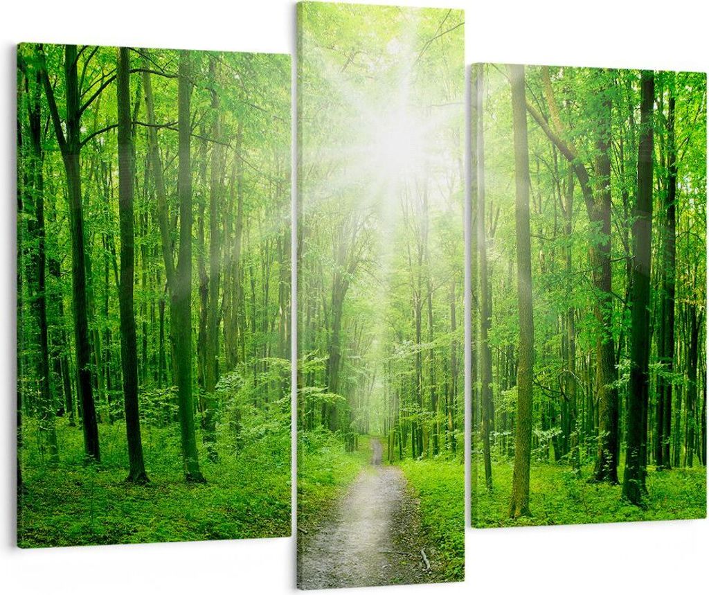 Bild auf Leinwand - Leinwandbild - Sonnenstrahlen Wald Sommer - 95x80cm - Wand Bild - Wanddeko - Leinwanddruck - Bilder - Kunstdruck - Wanddekorati...