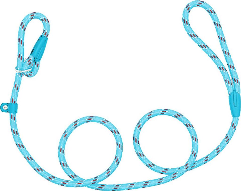 Hundeleine, Zugleine für Haustiere, Trainingsleine für kleine und mittelgroße Hunde