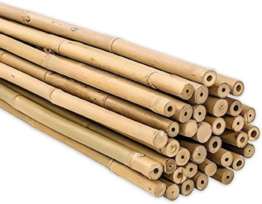 Tiges bambou 60 cm rigides et légères pour tuteurage tomates cerises