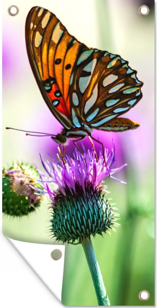 MuchoWow 30x60 cm Outdoor-Poster Gartendeko Sichtschutz Garten Poster für den Garten Schmetterling - Blumen - Insekten