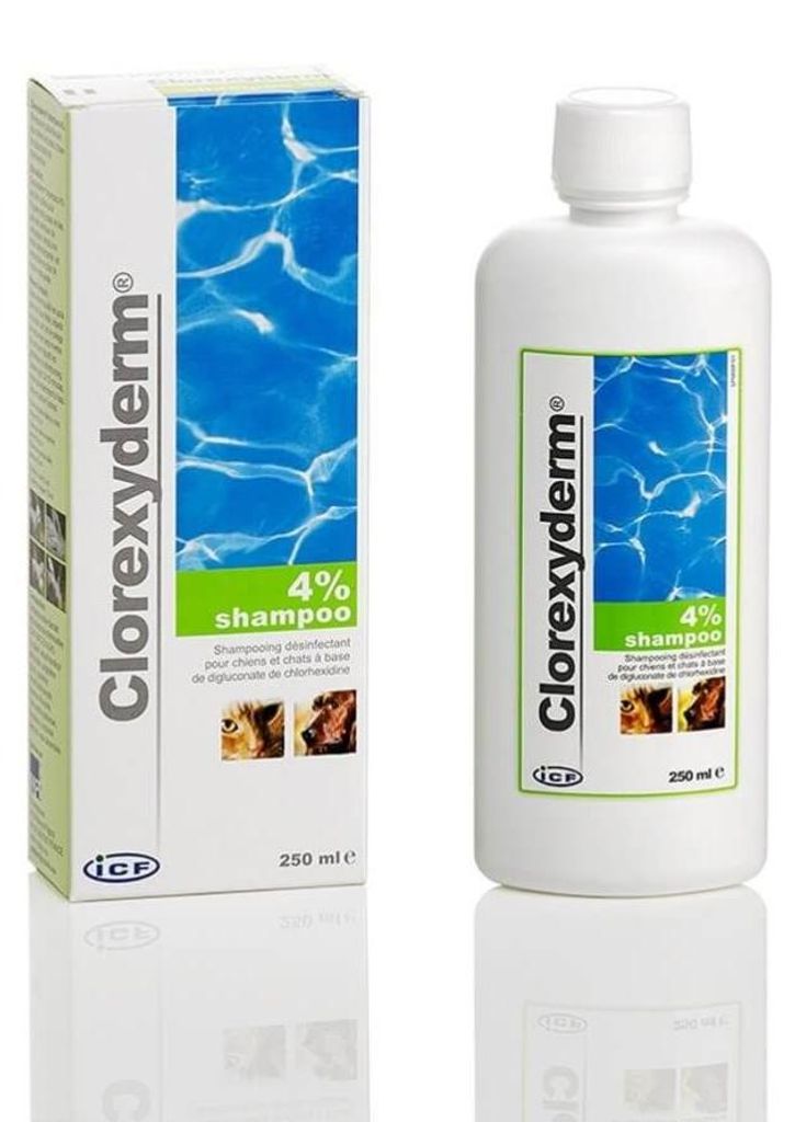 Clorexyderm shampooing 4% ICF 250ml Image du produit 