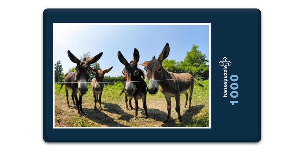 hansepuzzle 14623 - Esel Puzzle, 1000 Teile, Tierwelt, 60,0 Produktbild 