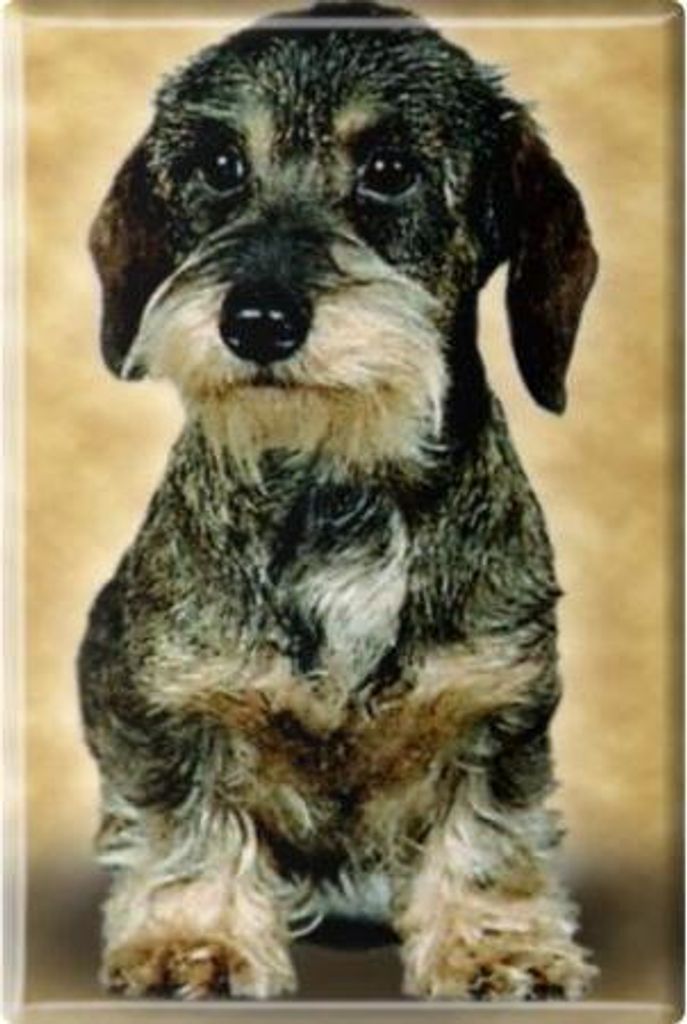 TIERMAGNET - Hunde Welpe - Gr. ca. 8 x 5,5 cm - 38425 - Küchenmagnet