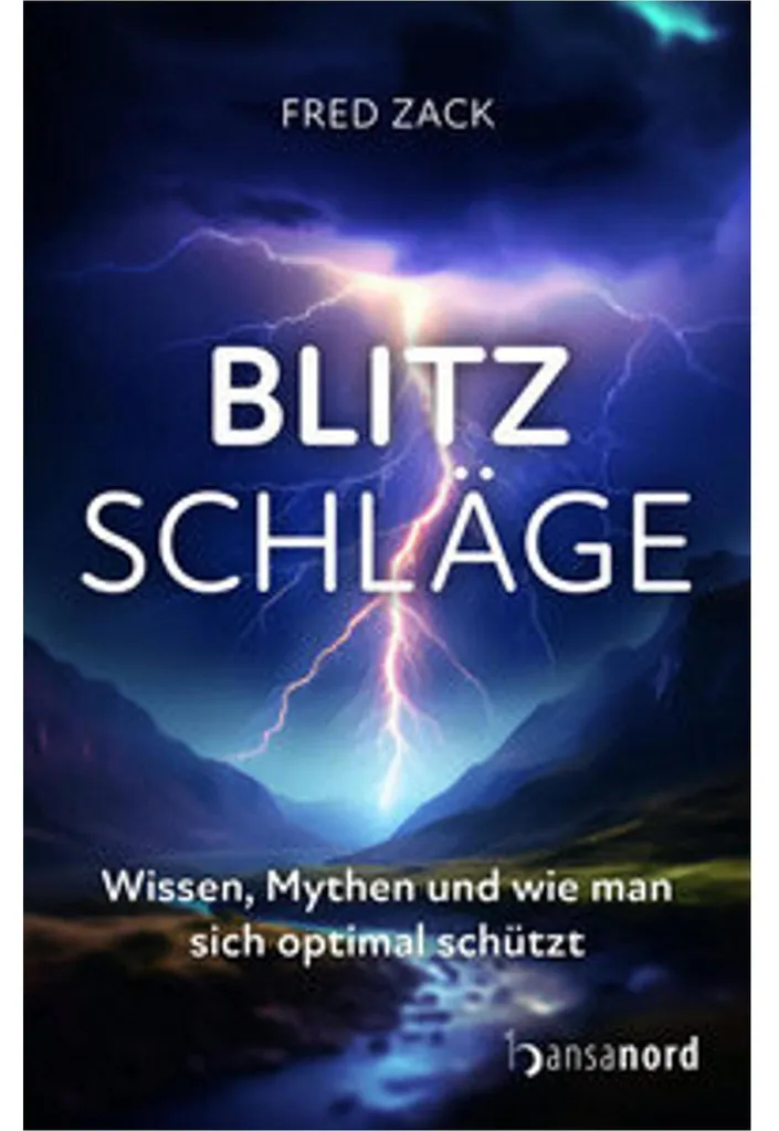 Boisson énergisante Blitzschläge canette 350ml pour boost mental