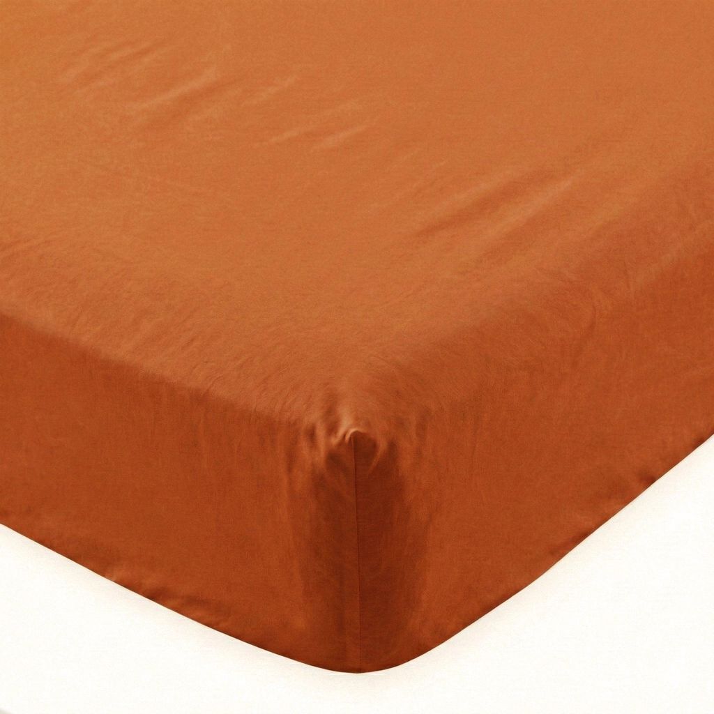 Drap-housse HappyFriday Basic Terracotta 140 x 200 x 32 cm Image du produit 