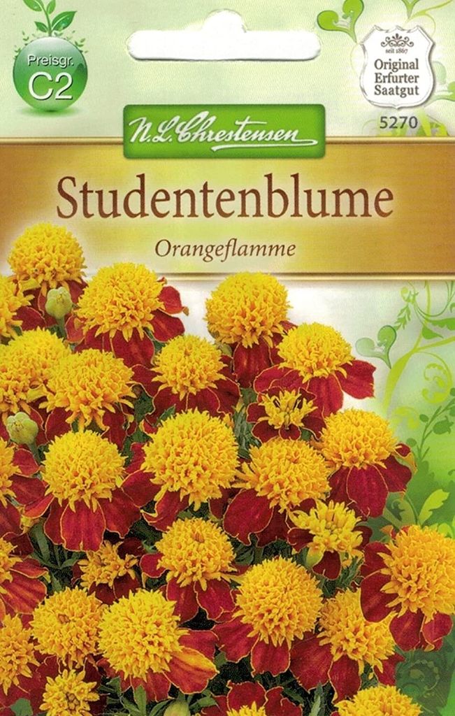 Studentenblume Orange | Studentenblumensamen von N.L. Chrestensen