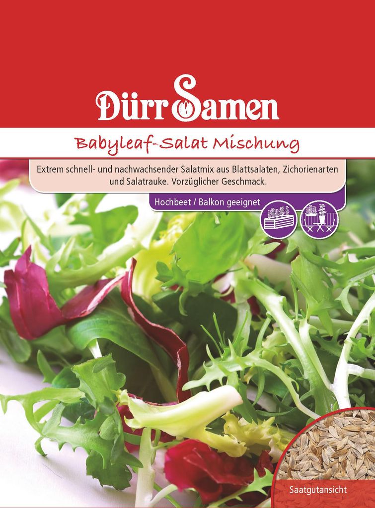 Babyleaf-Salat Mischung | Babyleaf-Salatsamen von Dürr Produktbild 