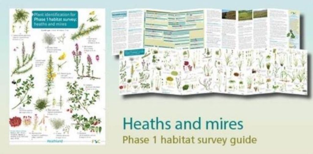 Heaths & Meres 2017 Phase 1 – Lingua: Inglese
