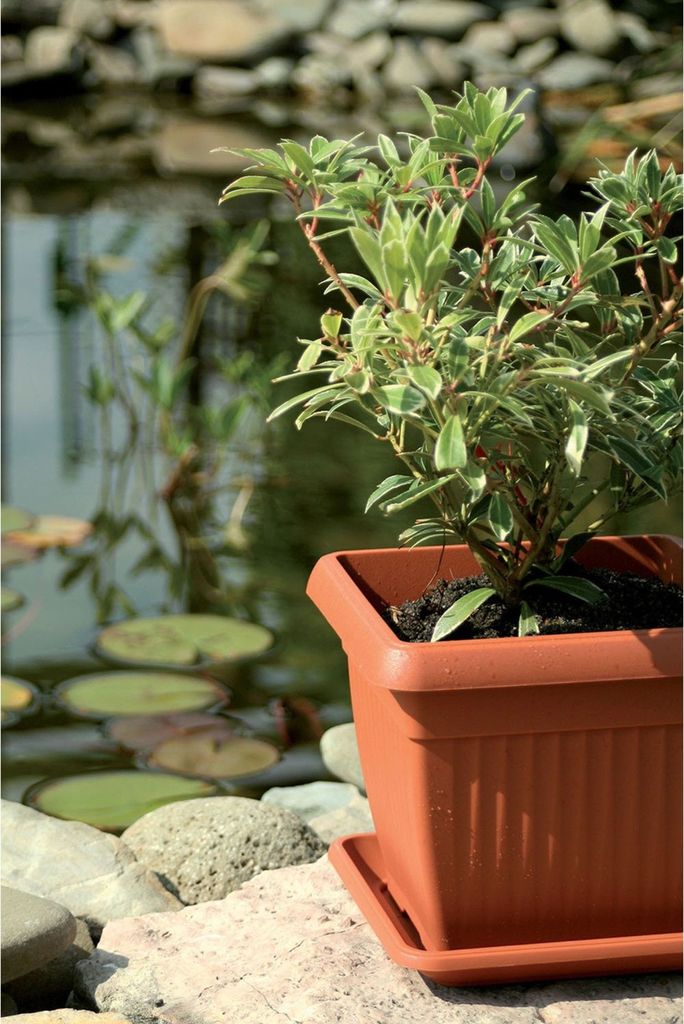 Fioriera Da Balcone Wave 60 Cm: Fissa Alla Ringhiera, Resistente Alle Intemperie, Incl. Perni