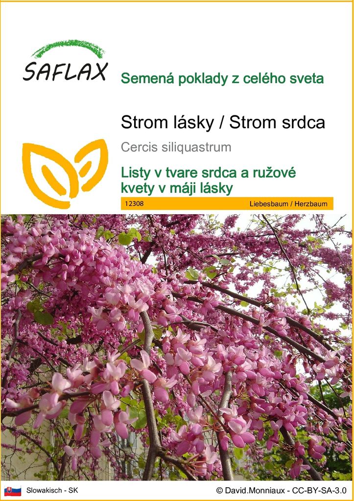 SAFLAX - Strom lásky / Strom srdca - Cercis siliquastrum - Obrázok produktu 