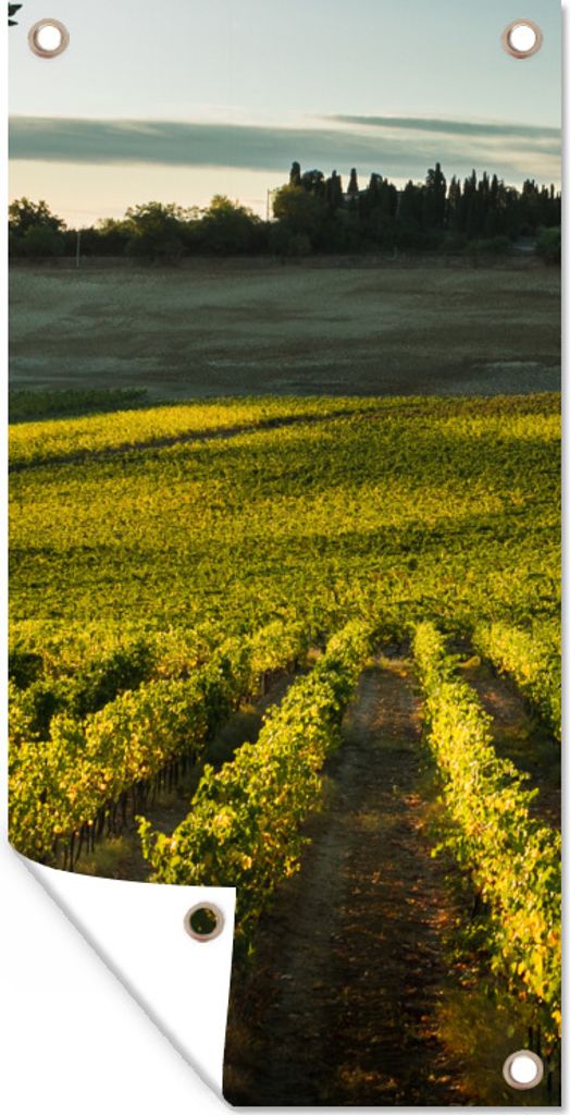 MuchoWow 40x80 cm Outdoor-Poster Gartendeko Sichtschutz Garten Poster für den Garten Toskana - Landschaft - Wein